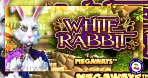 White Rabbit