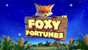 Foxy Fox
