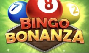 Bingo Bonanza