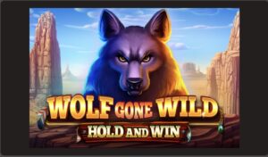 Wolf Gone Wild - Hold and Win